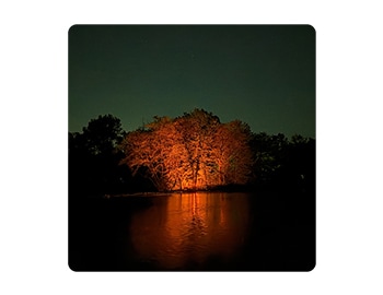 The new 48 MP main camera takes vibrant, sharp photos and videos without a flash, long after dark.