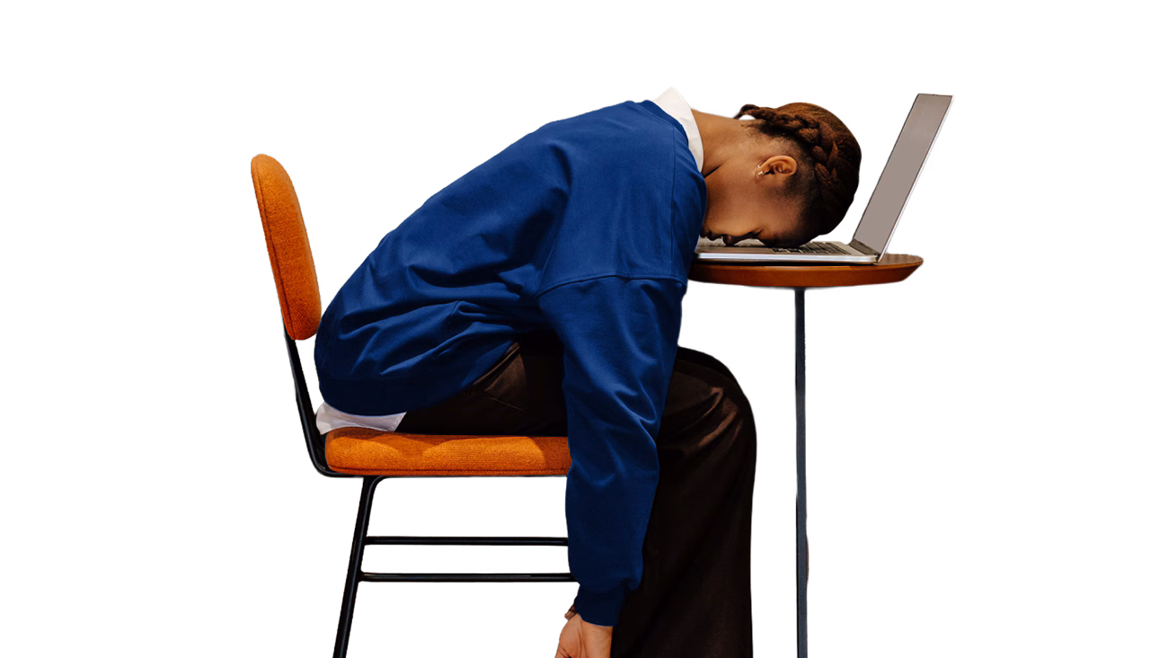 Replonge dans tes études.